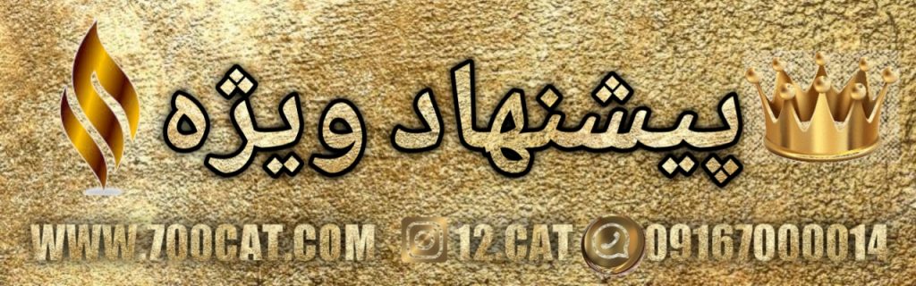پیشنهاد ویژه