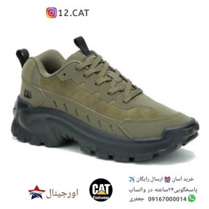 کفش کاترپیلار مردانه DC115