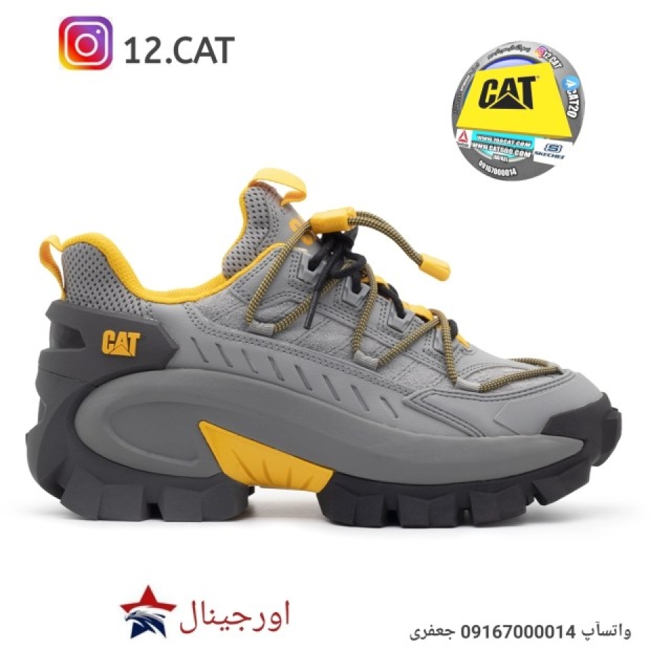 کفش کاترپیلار مردانه DC315